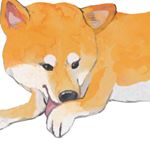 Profile Picture of ワンワーク🐕chien (@chien_workss) on Instagram
