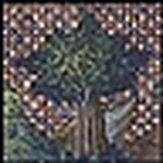 Profile Picture of Becky Allyn Johnson (@beckyallyn) on Flickr