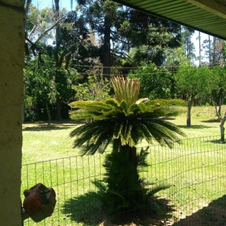 Profile Picture of Rose Real (@rose.real.7545) on Facebook