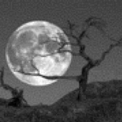 Profile Picture of Michael Nicholls (@MichaelNicholl4) on Twitter