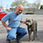 Profile Picture of Ammar Hussein (@ammarsafy) on Flickr