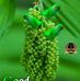 Profile Picture of Ashok Chowdhury (@ashok.chowdhury.9404) on Facebook