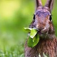 Profile Picture of Lisa Bogart (@lisa-bogart-2) on Quora