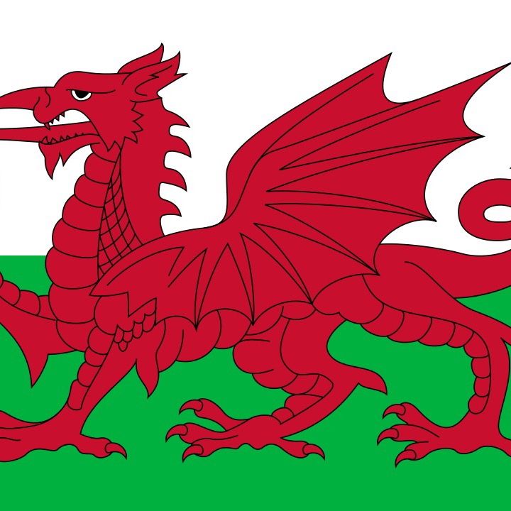 Profile Picture of Carwynbailey🏴󠁧󠁢󠁷󠁬󠁳󠁿 🔞 (@carwynbailey) on Tiktok