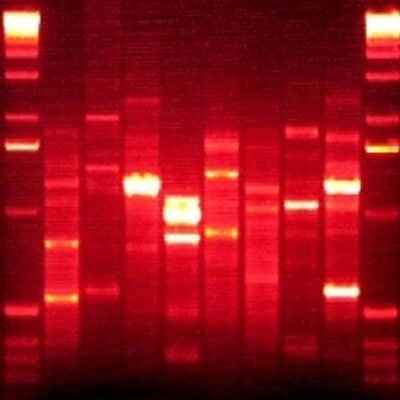 Profile Picture of Jean-François Viger (@jfviger) on Twitter