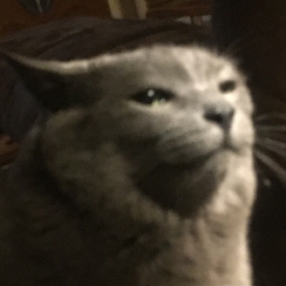 Profile Picture of Amelia Stout (@ameliadaswimmer) on Poshmark