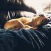 Profile Picture of Richard Kummer (@richard.kummer.144) on Facebook