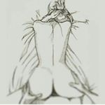 Profile Picture of caroline boyce (@la_carlis.19) on Instagram