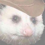 Profile Picture of Quinn Gibson (@nosbig_niuq_122) on Instagram