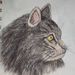 Profile Picture of Paula Jarvis (@jarvis3104) on Pinterest