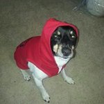 Profile Picture of Scott-Nancy Bobst (@snbobst) on Instagram