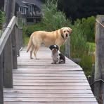 Profile Picture of Steve Cardin (@steve.cardin.10) on Facebook