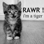 Britney Woodruff - Instagram Profile Picture of Britney Woodruff (@britneywoodruff) on Instagram