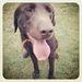 Profile Picture of Kelsey Potts (@kels0609) on Pinterest