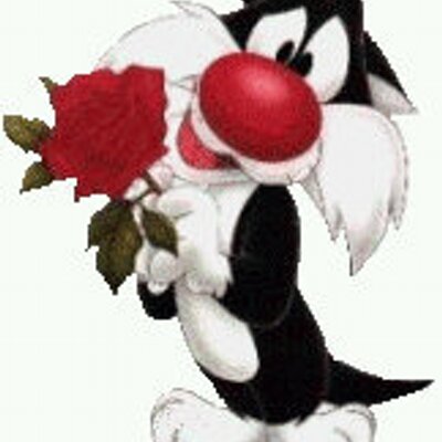 Profile Picture of Brandon Camargo (@brandon2adolfo) on Twitter