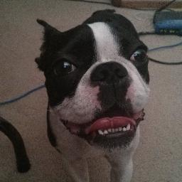 Profile Picture of Devin Smythe (@pidlygames) on Twitter