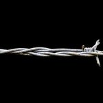 Profile Picture of Erick Hayden (@erickhayden) on Instagram