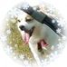 Profile Picture of Keith Brady (@keith.brady.1293) on Facebook