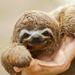Profile Picture of Paul Fennell (@paulfennellatx) on Pinterest