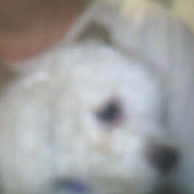 Profile Picture of Quintin David Martin (@david_quintin) on Twitter