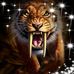 Profile Picture of Alexander Kotto (@alexander.kotto.5) on Facebook