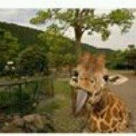 Arthur Blevans - Instagram Profile Picture of Arthur Blevans (@arthurblevans) on Instagram