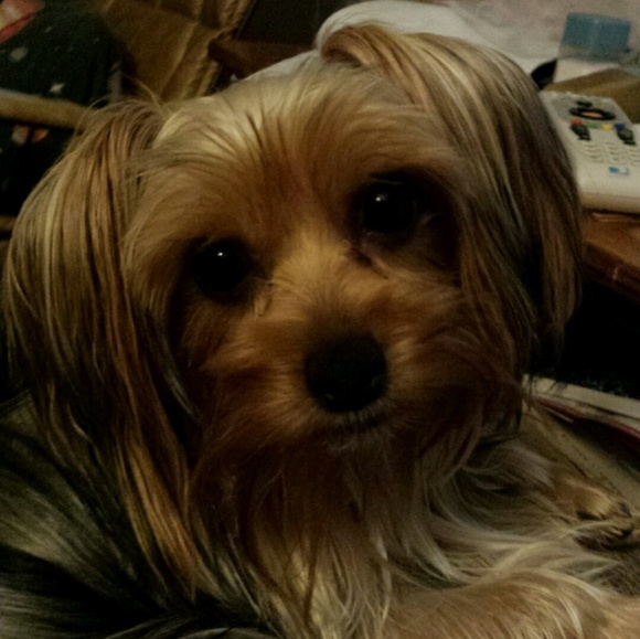 Profile Picture of Jennie Aucoin (@jenniebird218) on Poshmark