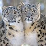 Profile Picture of Terry Erickson (@erickson.terry) on Instagram