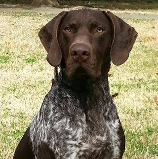 Profile Picture of Ted Pavy (@Ted-Pavy) on Facebook