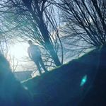 Profile Picture of Thomas (@thomas_weeda_0117_) on Instagram