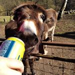 Profile Picture of Adam Gamba (@sileradam002) on Instagram