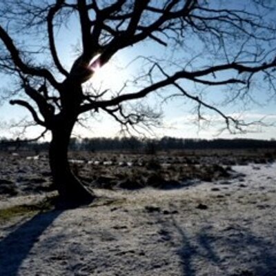 Profile Picture of Jo Goodall (@scoobydoobyJo) on Twitter