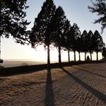 Profile Picture of Mitzi Terry (@mitzi.terry) on Instagram