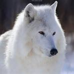 Profile Picture of Stacey Belknap (@stacey.belknap.10) on Facebook