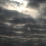 Profile Picture of Pedro Miro (@pedromirog) on Instagram