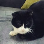 Profile Picture of Paula Kersey (@kerseypaula) on Instagram