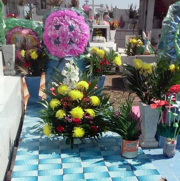 Profile Picture of Yuri Trigueros (@yuritrigueros) on Poshmark