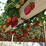 Profile Picture of Yolanda Pando (@pando.yolanda) on Instagram