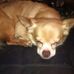Profile Picture of Lynn Pinter (@lynn.pinter.1) on Facebook