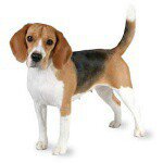 Profile Picture of Isaac gentry (@hubcaps17) on Instagram