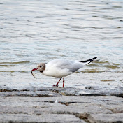 Profile Picture of Kay Zhang (@kunzhang390) on Youtube