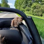 Profile Picture of Andrea Dekker (@andrea.dekker) on Instagram