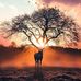Profile Picture of Lupe Jaramillo (@lupe.jaramillo.758) on Facebook