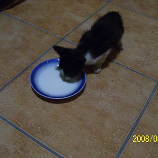 Profile Picture of Daniel Grot (@Daniel-Grot) on Facebook