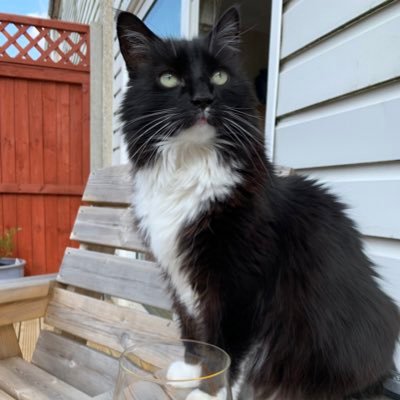 Profile Picture of Howie & Lyndel (@howie_lyndel) on Twitter