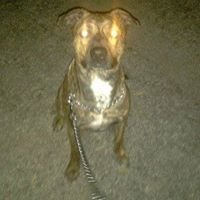 Profile Picture of Rick Downs (@rick.downs.169) on Myspace