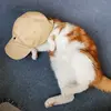 Profile Picture of Benjamin (@benjamin.hart) on Tiktok