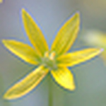 Profile Picture of Jupsis (@jupsis) on Flickr