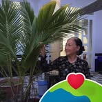 Profile Picture of Tuyết Trinh (@Tuyết-Trinh) on Facebook
