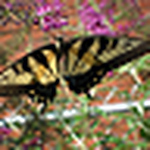 Profile Picture of James Cox (@james_alexander_cox) on Flickr